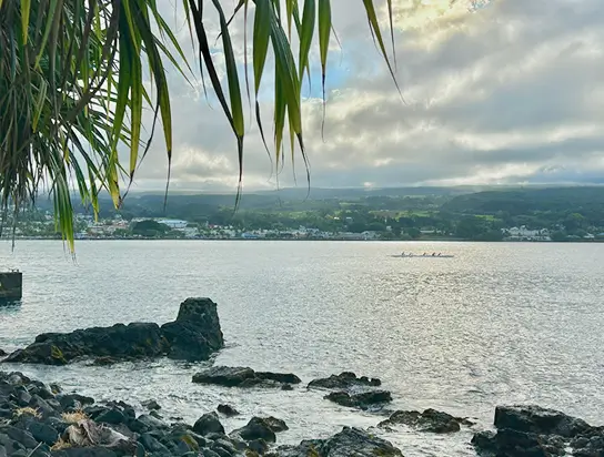 Why Patients Choose Us