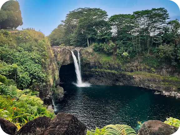 leave the world behind